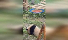 甜甜吃瓜俱乐部,揭秘娱乐圈幕后故事，带你领略明星真实生活