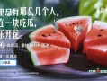 路边吃瓜文案视频,捕捉生活百态