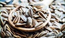 吃瓜图瓜子,揭秘吃瓜图中的瓜子奥秘