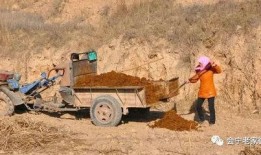 会宁县吃瓜事件始末,一场网络热议背后的真相与反思