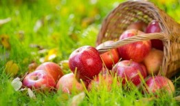 苹果吃瓜平台,揭秘科技巨头背后的娱乐世界