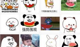 每天吃瓜的风险,揭秘日常饮食中的“甜蜜陷阱”