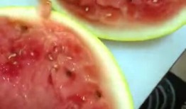 女友吃瓜说明很甜,女友的甜蜜吃瓜体验分享