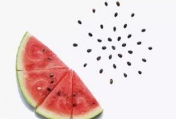 吃苹果橘子瓜呕吐,苹果、橘子和瓜引发的呕吐之谜