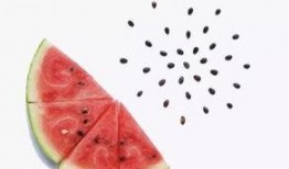 吃苹果橘子瓜呕吐,苹果、橘子和瓜引发的呕吐之谜