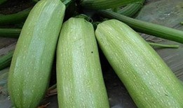 tai9爆料吃瓜,tai9爆料吃瓜事件，真相究竟如何？