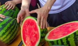 广西演艺学院 吃瓜