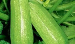 arl吃瓜,揭秘娱乐圈幕后故事