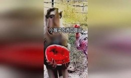 趣闻吃瓜,那些你不知道的趣闻吃瓜瞬间