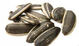 吃瓜图瓜子,揭秘吃瓜图中的瓜子奥秘