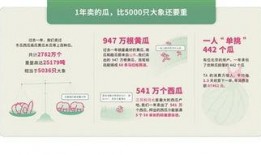 外网吃瓜报道,外网吃瓜报道背后的真相与争议