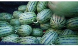 仙女云基地吃瓜