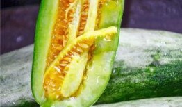 夏语之心吃瓜,揭秘瓜界新宠的甜蜜诱惑