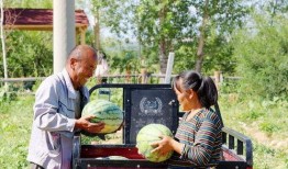 农民吃瓜群众,见证乡村振兴的生动画卷