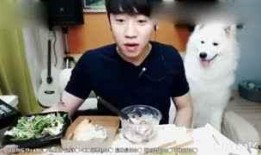 韩国吃货主播吃瓜视频,趣味吃瓜视频大揭秘