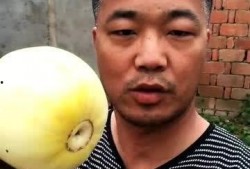 甜甜吃瓜俱乐部,揭秘娱乐圈幕后故事，带你领略明星真实生活