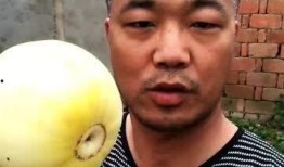 甜甜吃瓜俱乐部,揭秘娱乐圈幕后故事，带你领略明星真实生活