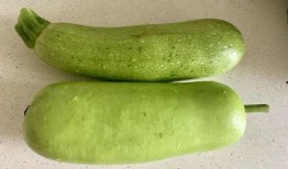 立秋过后吃三瓜,养生保健正当时