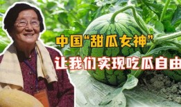 打工人吃瓜心声,揭秘职场酸甜苦辣