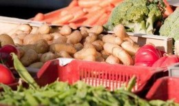 康定中学吃瓜,揭秘校园里的热点话题