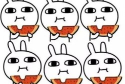 龇牙吃瓜,揭秘娱乐圈的幕后故事