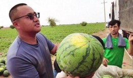 每天吃瓜的风险,揭秘日常饮食中的“甜蜜陷阱”