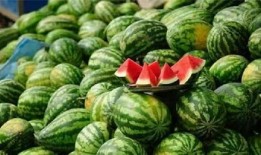 吃瓜的龙图片,探寻吃瓜龙的神秘故事