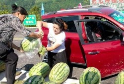 萍乡市吃瓜群众,吃瓜群众的热议焦点