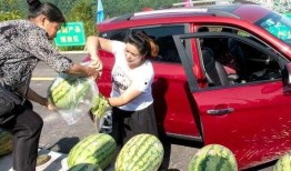 萍乡市吃瓜群众,吃瓜群众的热议焦点