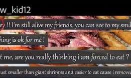 吃瓜现场吃瓜第一线,第一线揭秘娱乐圈风云