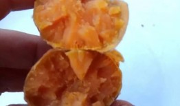 吃瓜红薯哥,揭秘网红美食背后的故事