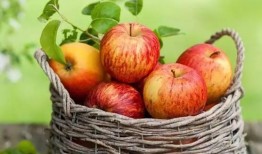 吃苹果橘子瓜呕吐,苹果、橘子和瓜引发的呕吐之谜