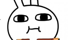 吃瓜粉丝数,揭秘吃瓜粉丝数背后的热门现象