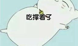 梦到吃瓜中毒,瓜果中毒背后的神秘启示