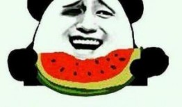 吃瓜群众小夏,揭秘娱乐圈那些事儿