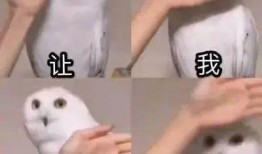 更疼呀 吃瓜,揭秘娱乐圈那些鲜为人知的幕后故事