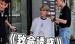 瑞士吃瓜群众视频,瑞士吃瓜群众视角下的趣味生活瞬间