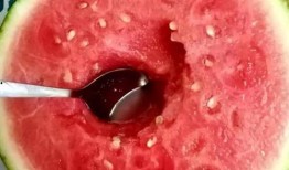 哈密瓜没有勺子怎么吃,哈密瓜的独特食用之道