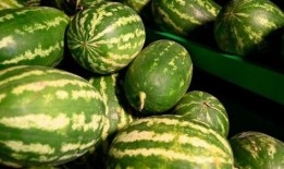 宜兴河边吃瓜事件,一场引发热议的街头冲突瞬间