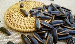 别人吃瓜我吃瓜子,从吃瓜到吃瓜子的趣味演变