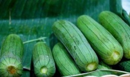 立秋过后吃三瓜,养生保健正当时