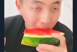 小扬爸吃瓜,小扬爸的瓜田奇遇记