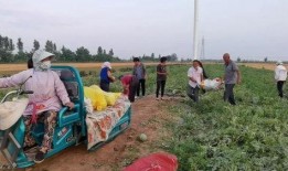 618民众吃瓜,民众吃瓜盛宴，揭秘热门事件背后的真相