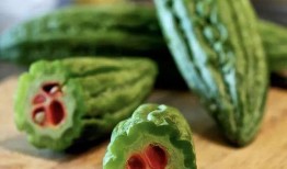 吃瓜的龙图片,探寻吃瓜龙的神秘故事