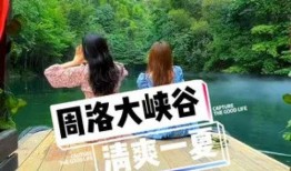 峡谷吃瓜系列,揭秘游戏圈那些鲜为人知的幕后故事