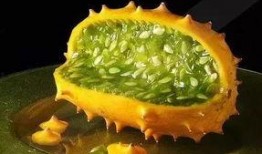 除夕当天吃角瓜,团圆滋味，寓意吉祥