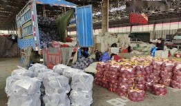 寿光最新吃瓜,最新吃瓜资讯大盘点