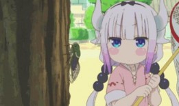 吃瓜小林动画视频,揭秘动画视频中的趣味与智慧