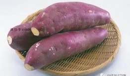 吃瓜红薯哥,揭秘网红美食背后的故事