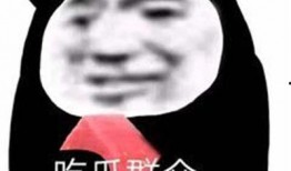 吃瓜表情代码,网络社交中的趣味与智慧
